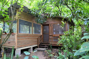 Iguana Roost Tourism Gold Standard Fully Equipped two Bedroom Cabin